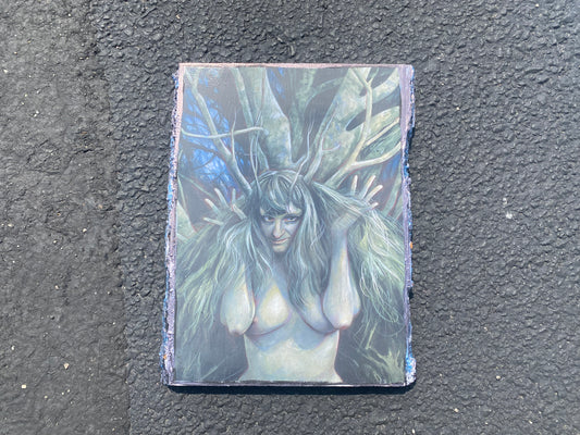 Brian Fround Faerie Art Handmade Barkwood plaque 14x10